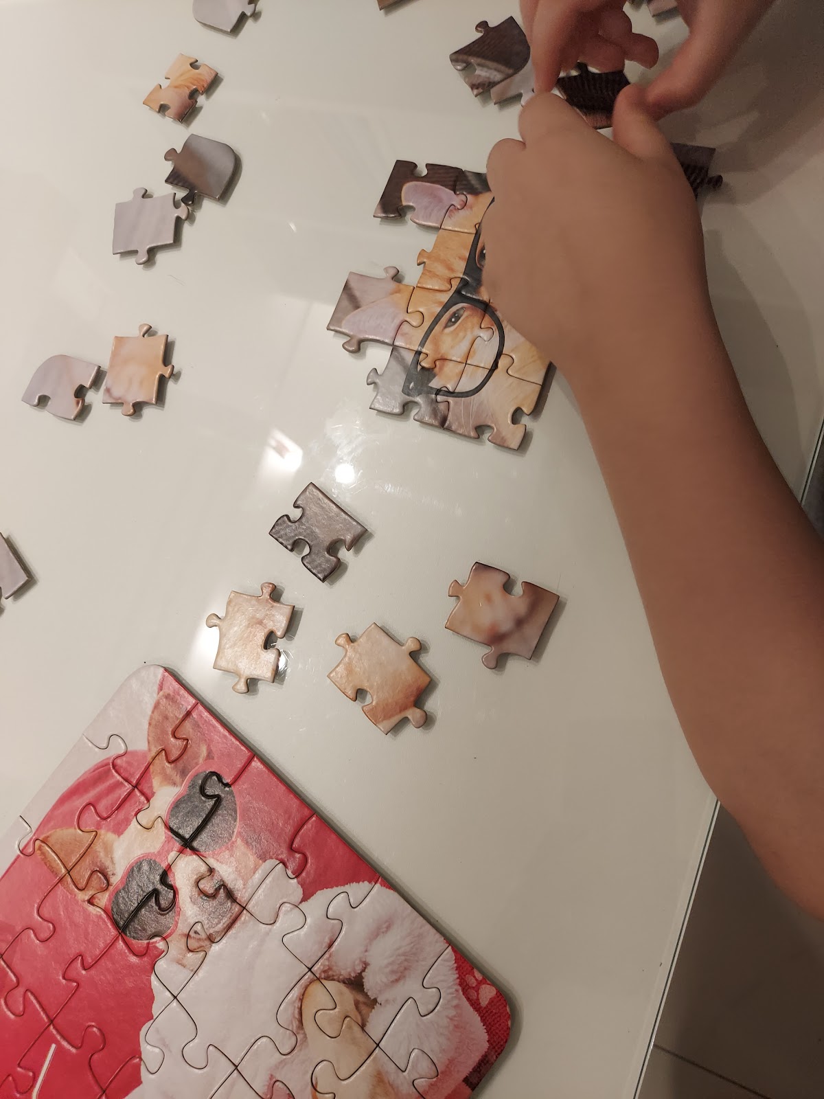 Sala de Ludoterapia e Brinquedos para Crianças